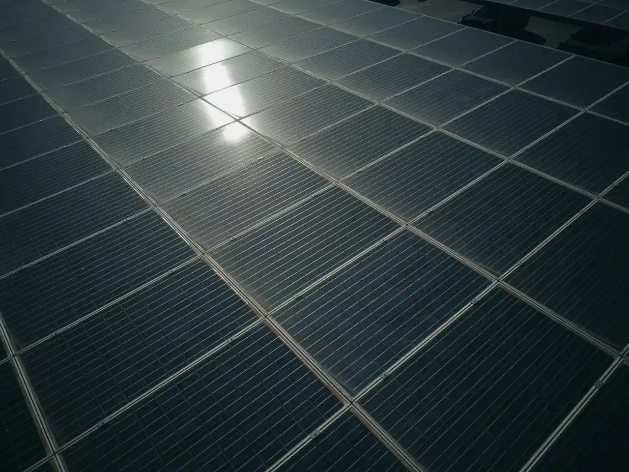 Close view of aligned photovoltaic modules reflecting afternoon sunlight
